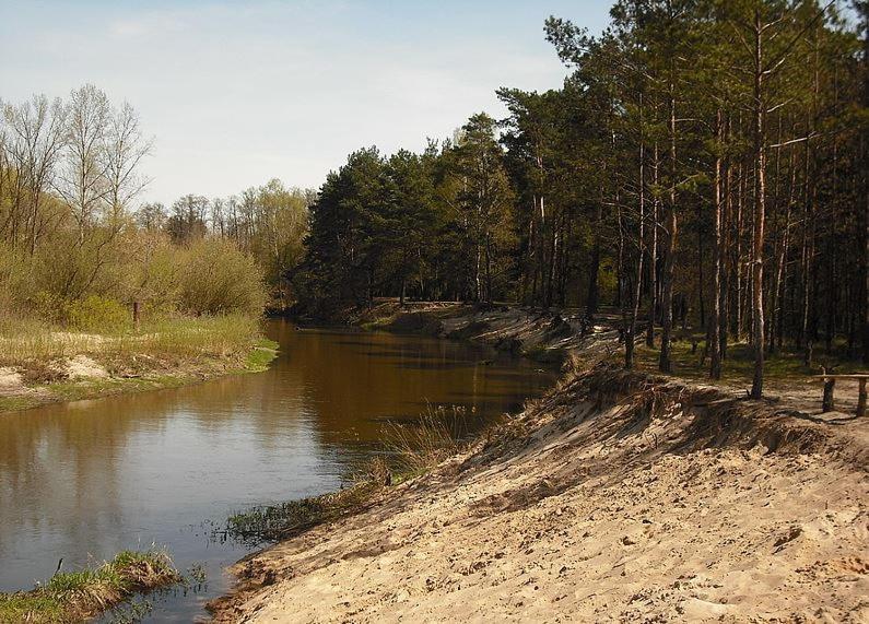 Chatka Nad Swidrem Mladz Exterior photo
